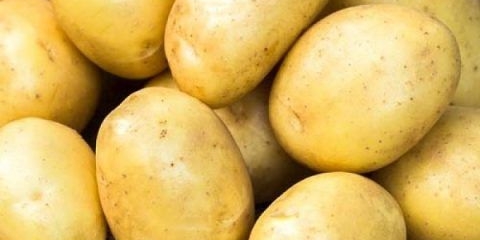 Banba krompir: opis sorte, recenzije